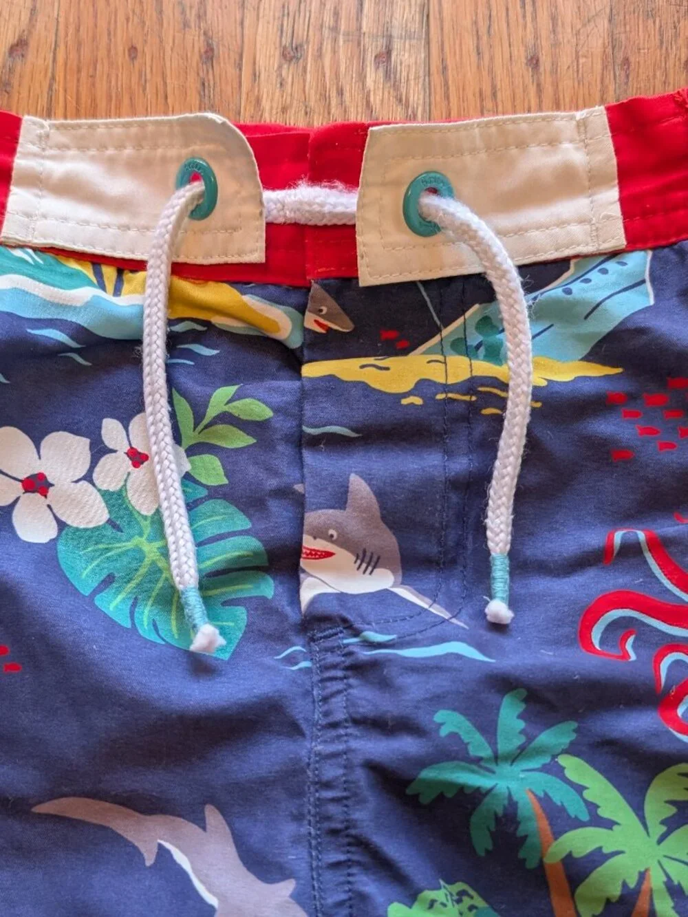 Mini Boden Swim Trunks